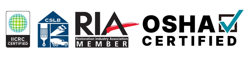 Licensed, Insured, IICRC Certified